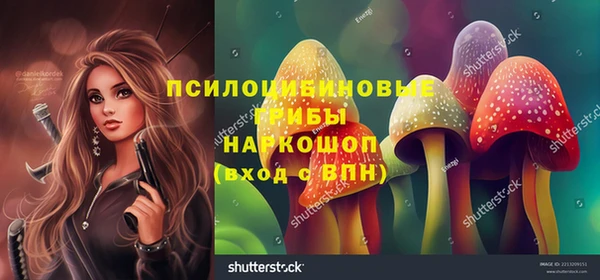 таблы Верхний Тагил