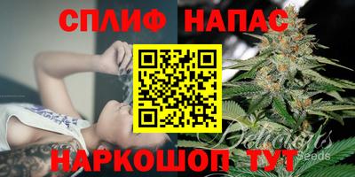 гидра Гусиноозёрск