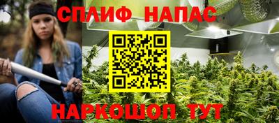 гидра Гусиноозёрск