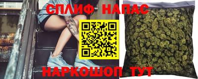 гидра Гусиноозёрск