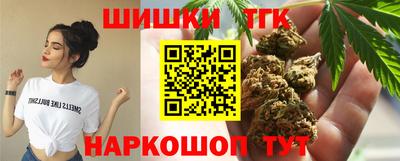 индика Гусь-Хрустальный