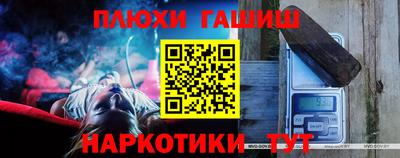 индика Гусь-Хрустальный