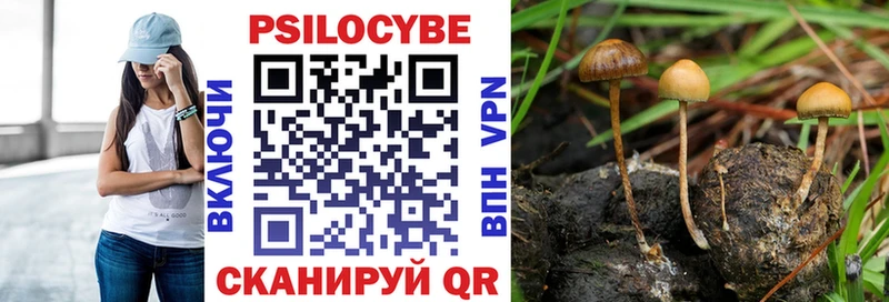 Галлюциногенные грибы Magic Shrooms  Санкт-Петербург 