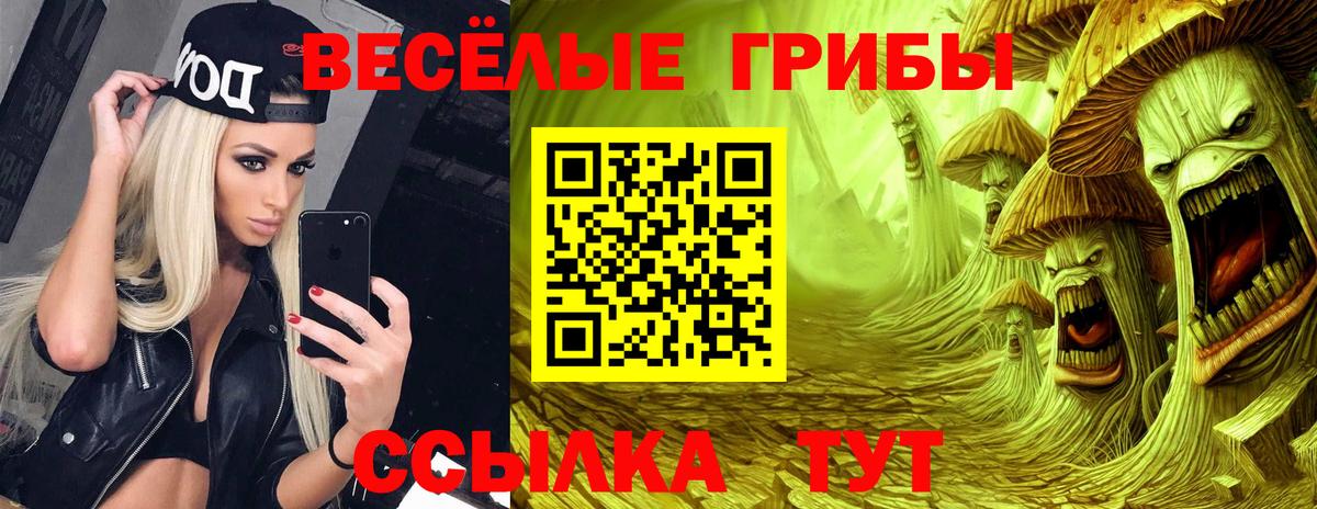 Псилоцибиновые грибы Cubensis Санкт-Петербург