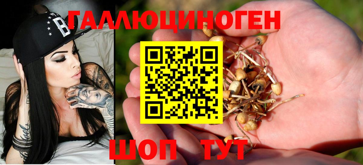 Псилоцибиновые грибы мухоморы  Псилоцибиновые грибы мухоморы  Санкт-Петербург  Вход с VPN 